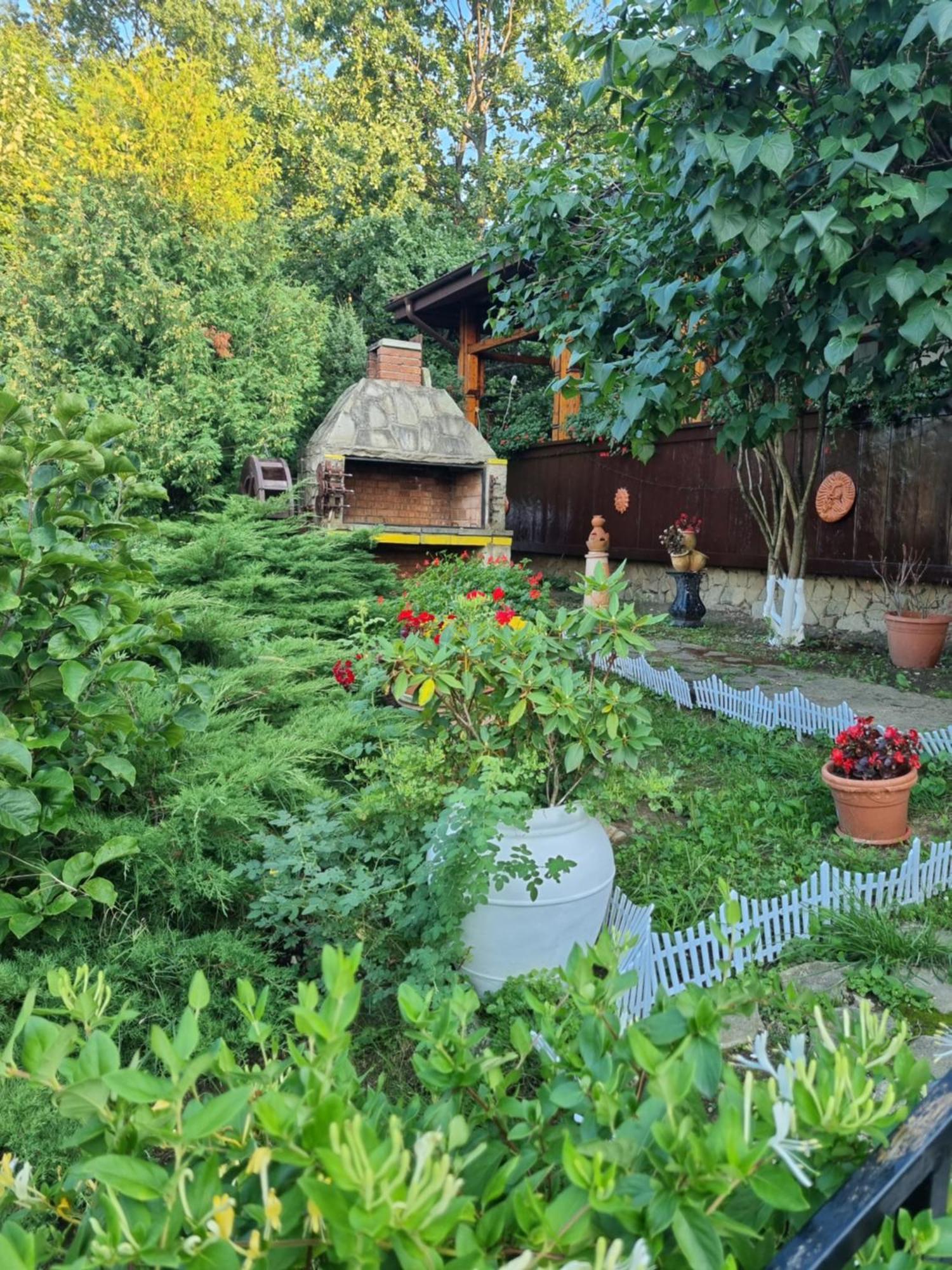Casa Boiereasca Hotel ยาช ภายนอก รูปภาพ