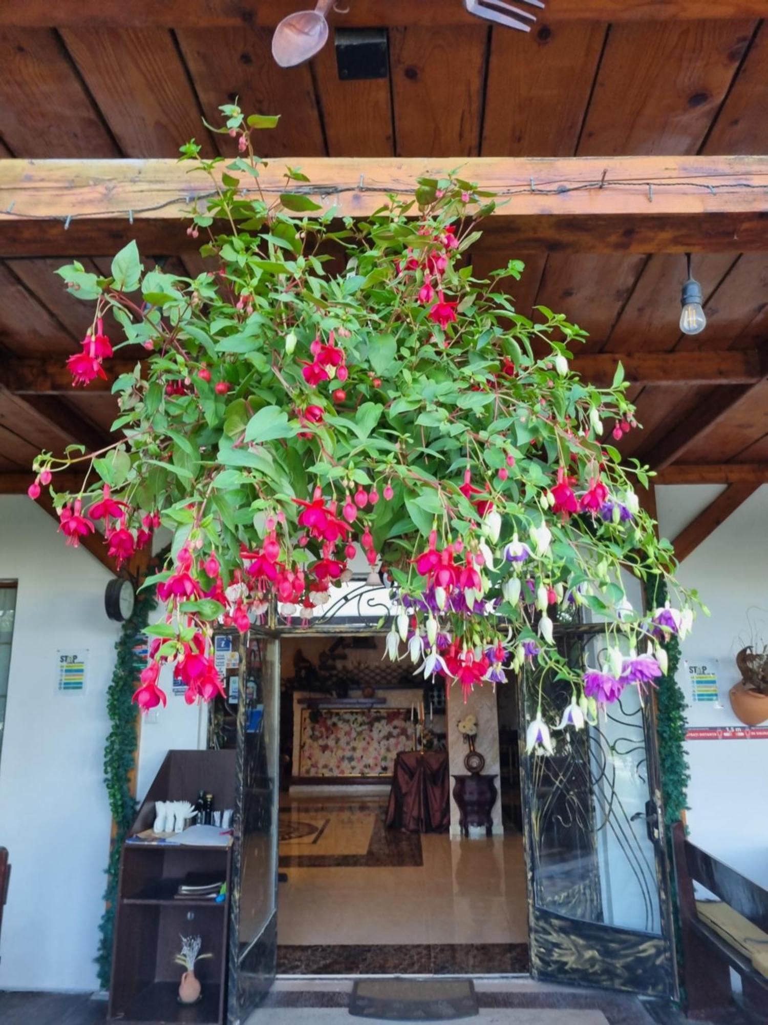 Casa Boiereasca Hotel ยาช ภายนอก รูปภาพ
